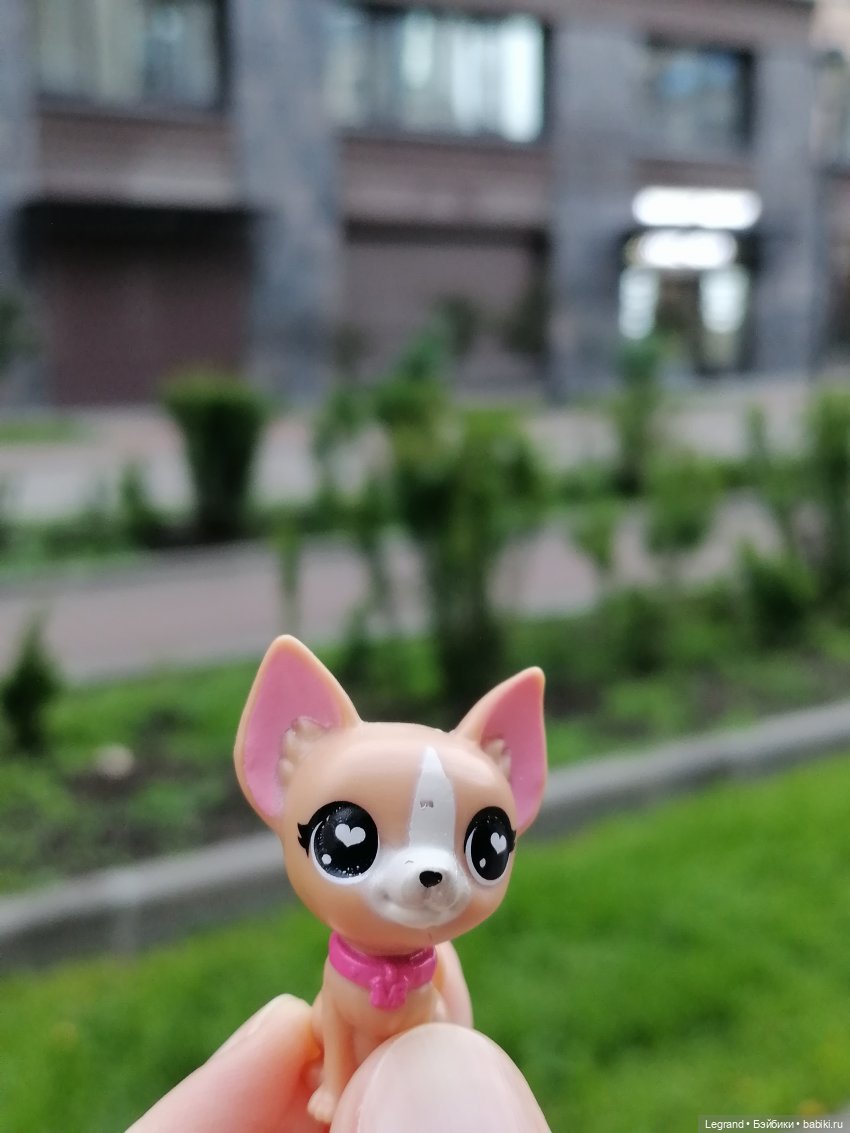 Санкт-Петербург: Ванилька в Парадном🌸