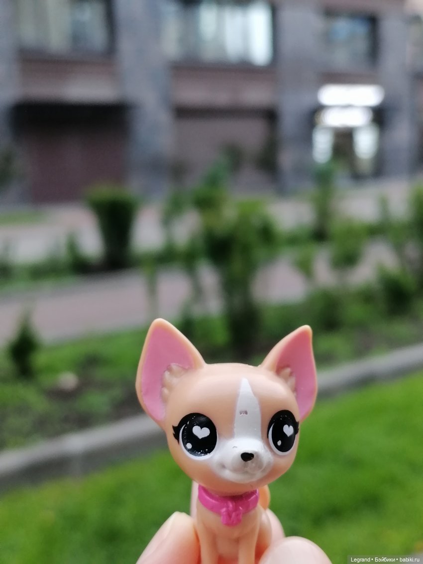 Санкт-Петербург: Ванилька в Парадном🌸