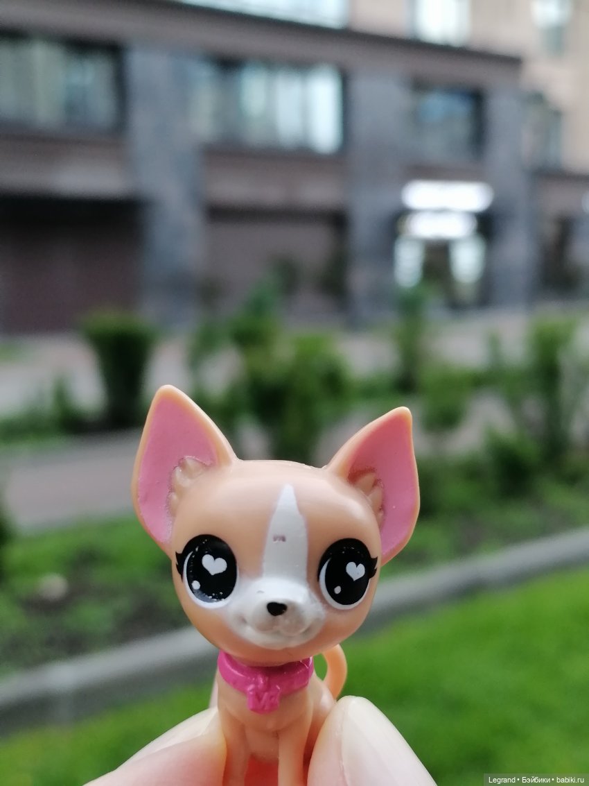 Санкт-Петербург: Ванилька в Парадном🌸