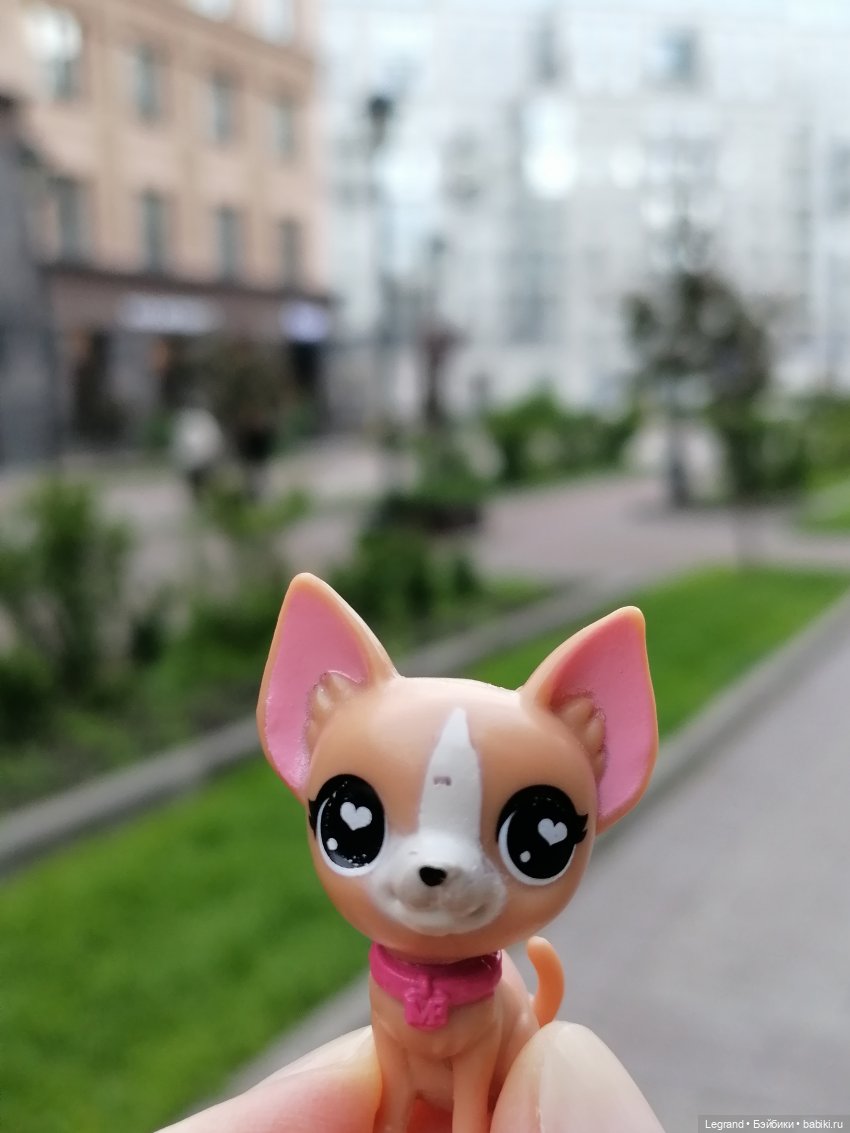 Санкт-Петербург: Ванилька в Парадном🌸