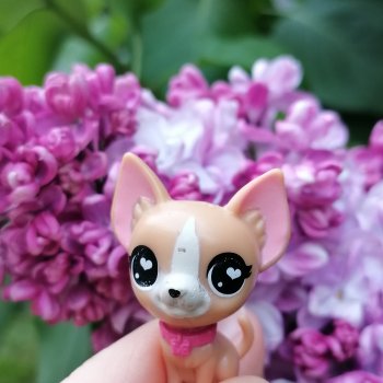Санкт-Петербург: Ванилька в Парадном🌸