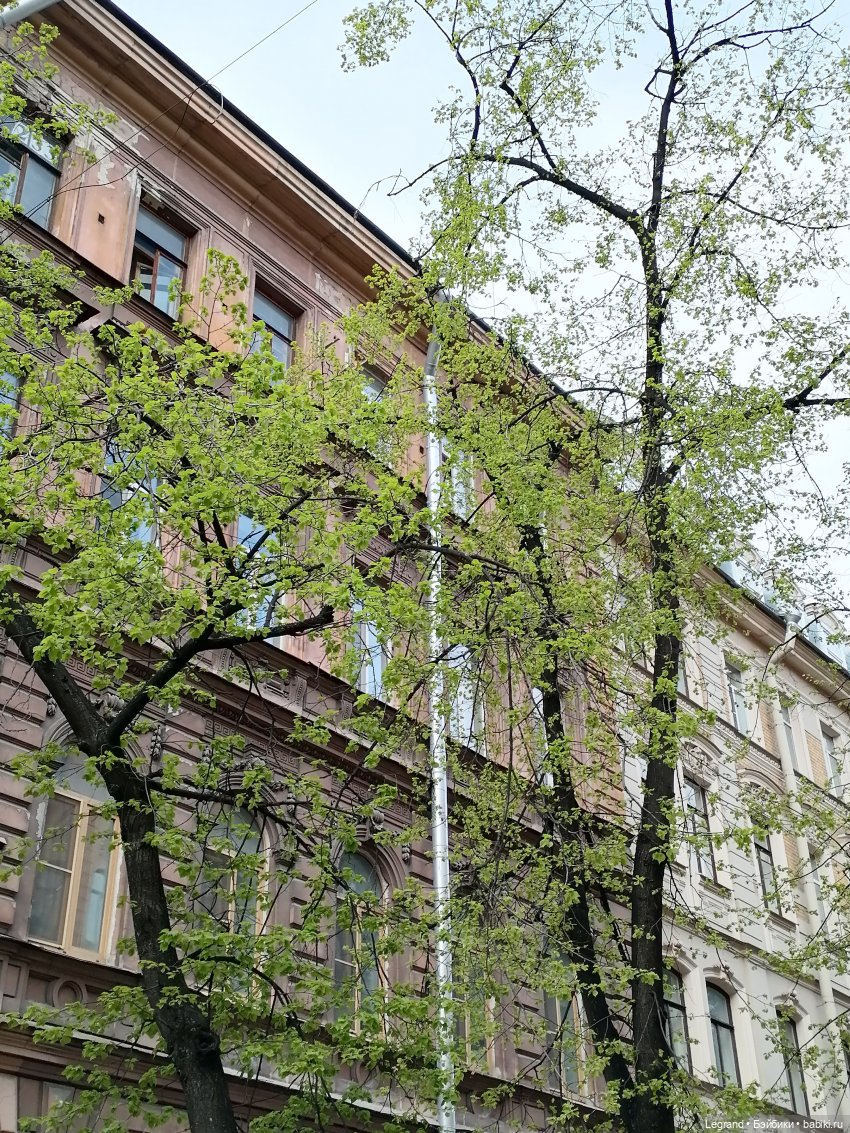 Санкт-Петербург: Аланья на прогулке