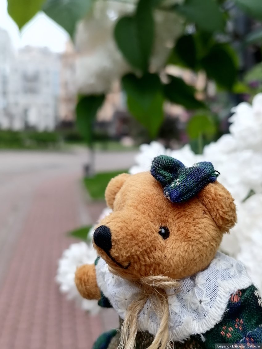 Из жизни моих мишек: Гюльсюм в Парадном квартале (фото 2)