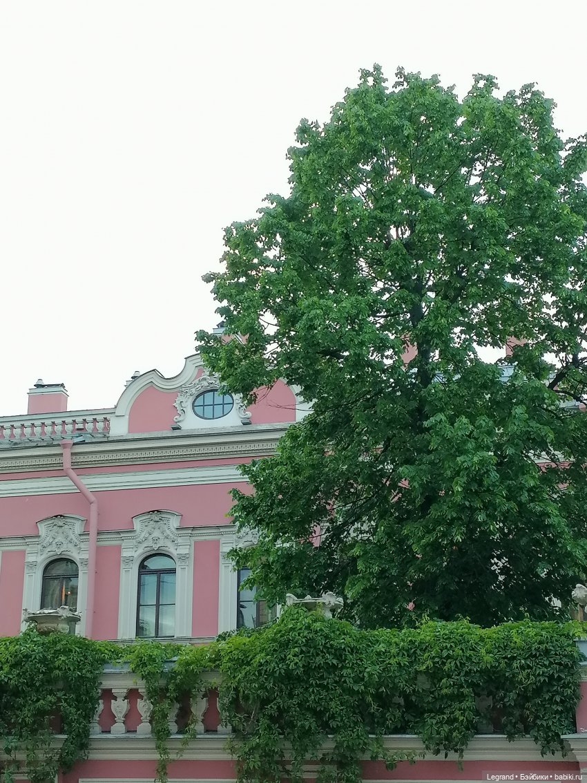 Санкт-Петербург: Берен на прогулке - часть вторая