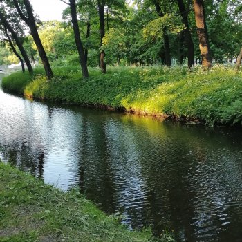 Санкт-Петербург: Таврический сад - сирень