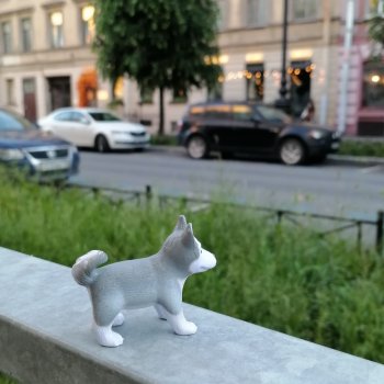 Санкт-Петербург: Милош и Барин, фото улиц и Парадного квартала