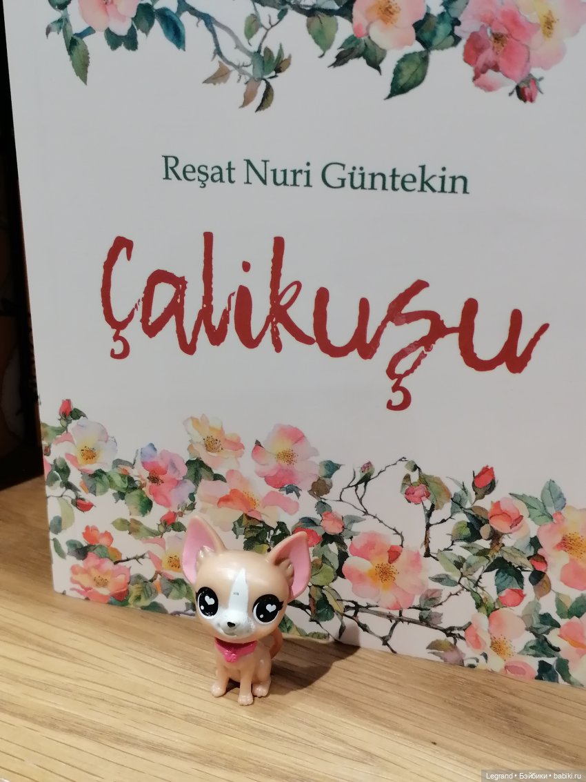 Санкт-Петербург: я и Ванилька в Доме Книги на Невском проспекте (Дом Зингера)