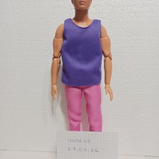 Кен азиат Брендон из серии Barbie Looks 17