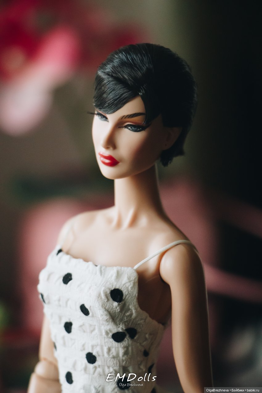 Holiday Spot Dania Zarr