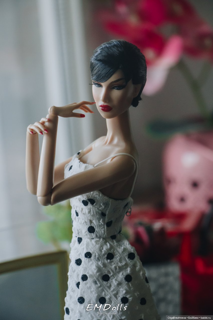 Holiday Spot Dania Zarr