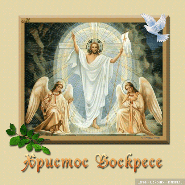 Добро пожаловать в Плюшкин дом, Heidi Plusczok