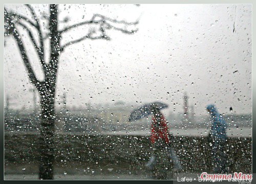 Вместе навсегда. "Подсолнушек" от Zwergnase (фото 2)