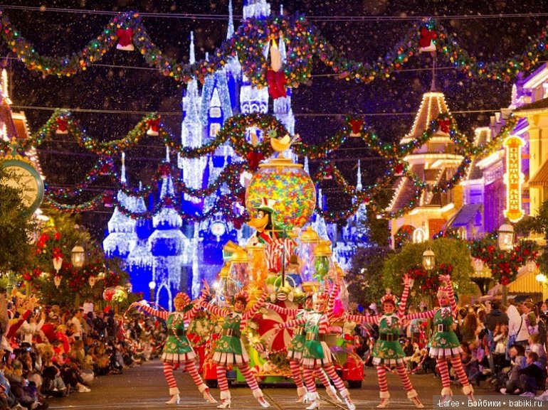 Родина моих Zwergnase готовится к Рождеству! (из новогодних традиций Германии)