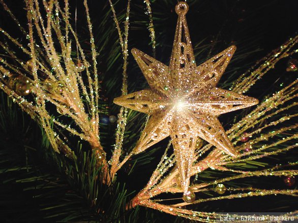 Родина моих Zwergnase готовится к Рождеству! (из новогодних традиций Германии) (фото 5)