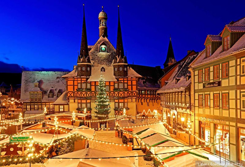 Родина моих Zwergnase готовится к Рождеству! (из новогодних традиций Германии)