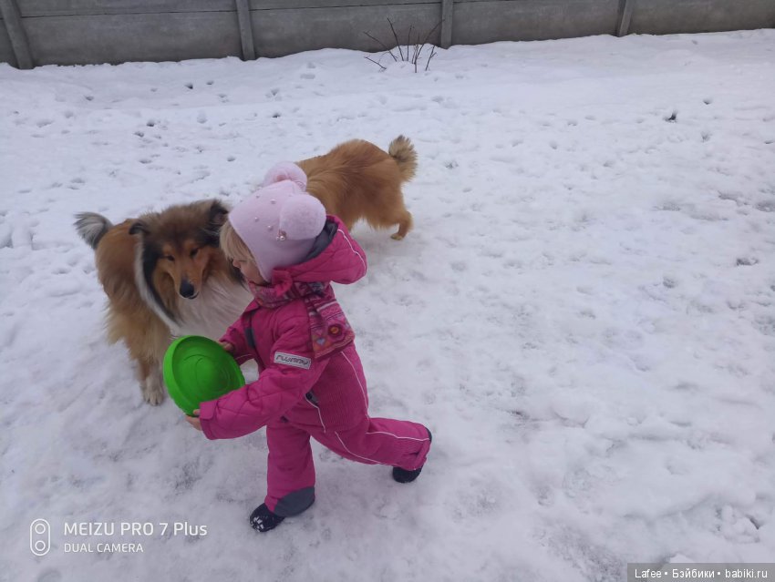 Кто охраняет моих кукол — Болталка и разговоры обо всем: жизнь (фото 10)