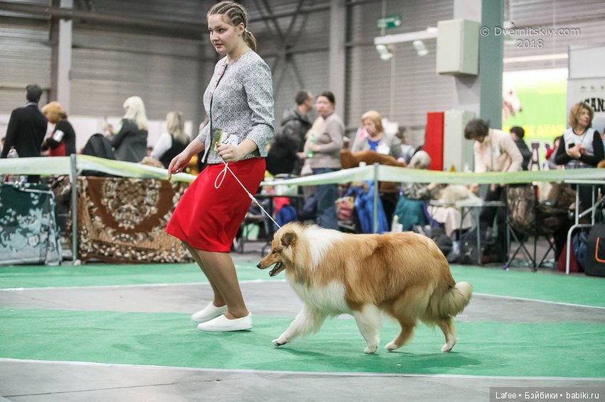 Кто охраняет моих кукол — Болталка и разговоры обо всем: жизнь (фото 8)
