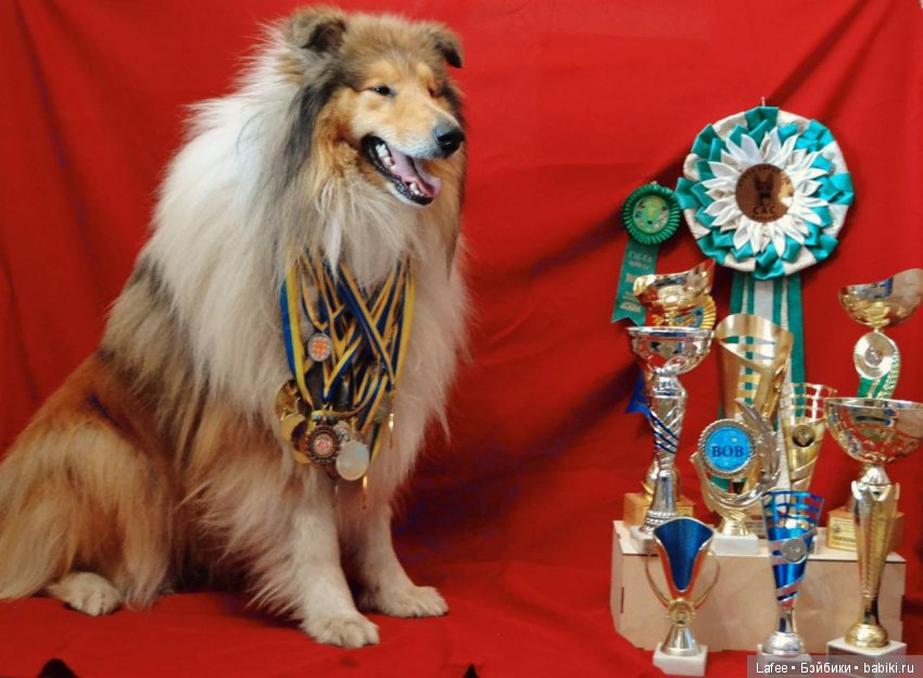 Кто охраняет моих кукол — Болталка и разговоры обо всем: жизнь (фото 6)