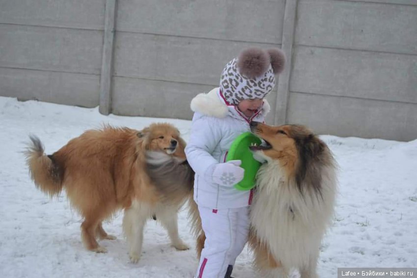 Кто охраняет моих кукол — Болталка и разговоры обо всем: жизнь
