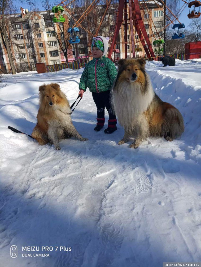 Кто охраняет моих кукол — Болталка и разговоры обо всем: жизнь (фото 9)