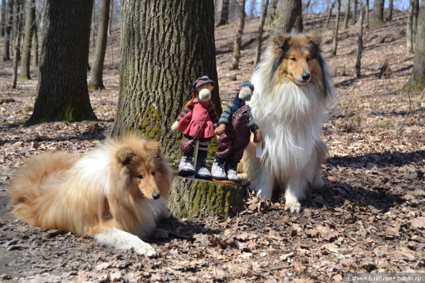 Кто охраняет моих кукол — Болталка и разговоры обо всем: жизнь