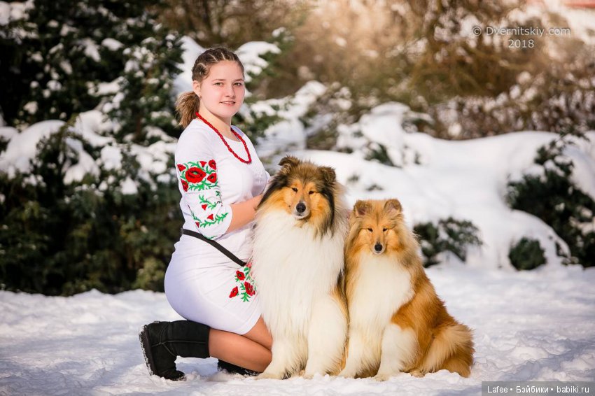 Кто охраняет моих кукол — Болталка и разговоры обо всем: жизнь