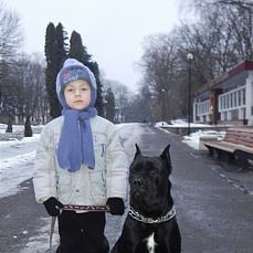 Кто охраняет моих кукол — Болталка и разговоры обо всем: жизнь