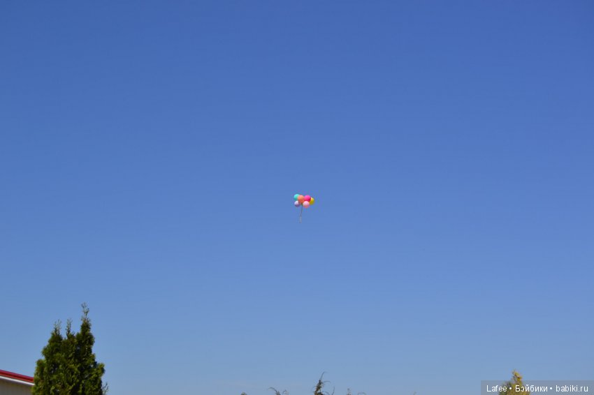 Мои любимые Zwergnase поздравляют Бейбики с 1 Мая