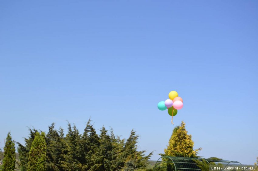 Мои любимые Zwergnase поздравляют Бейбики с 1 Мая