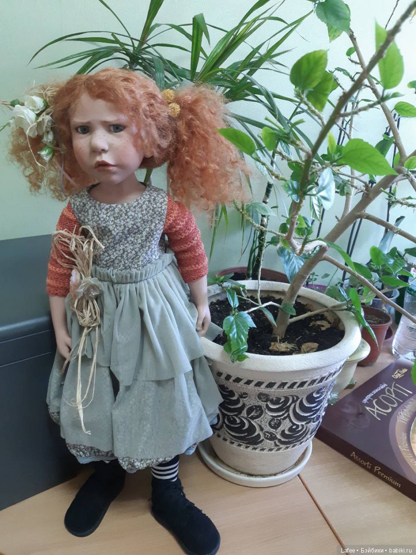 Как Сюзетт научилась дружить... мои Zwergnase