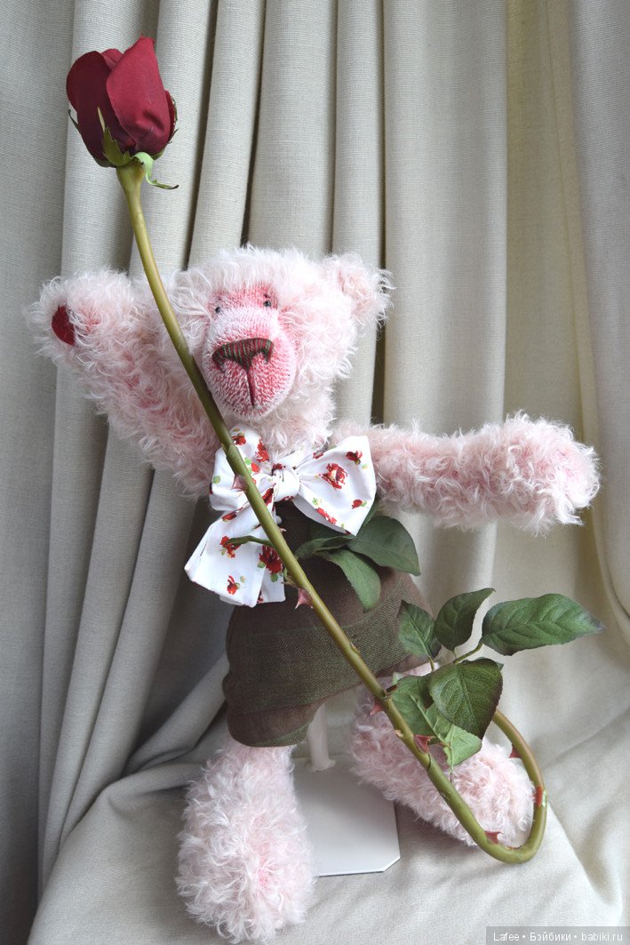 Как Сюзетт научилась дружить... мои Zwergnase