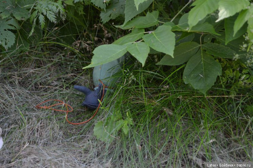 Прогулка без взрослых. Zwergnase встречают лето (фото 6)