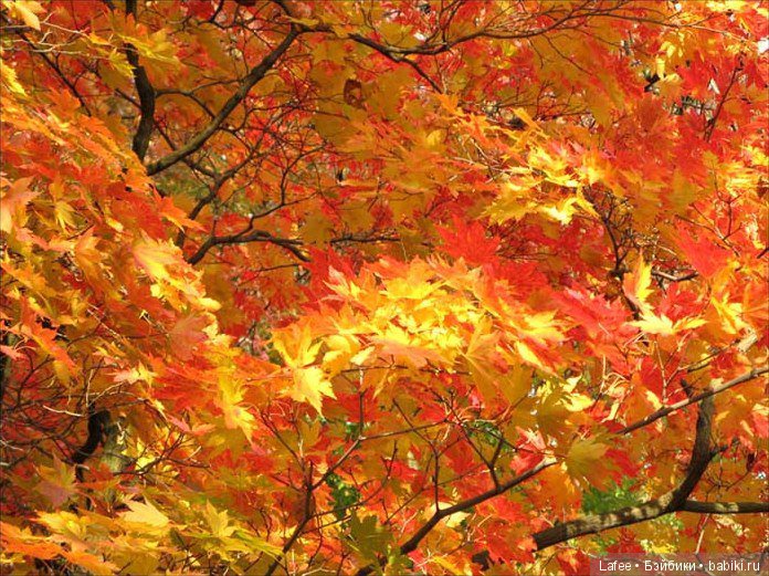 "Куда же делось лето???" Франческа Heidi Plusczok на прогулке