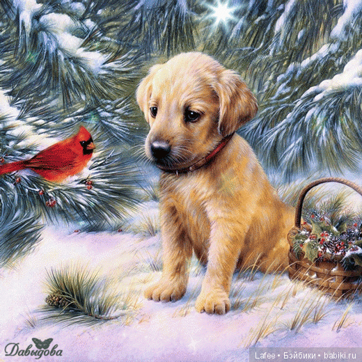 Мечте суждено сбыться или До свидания, год собачки