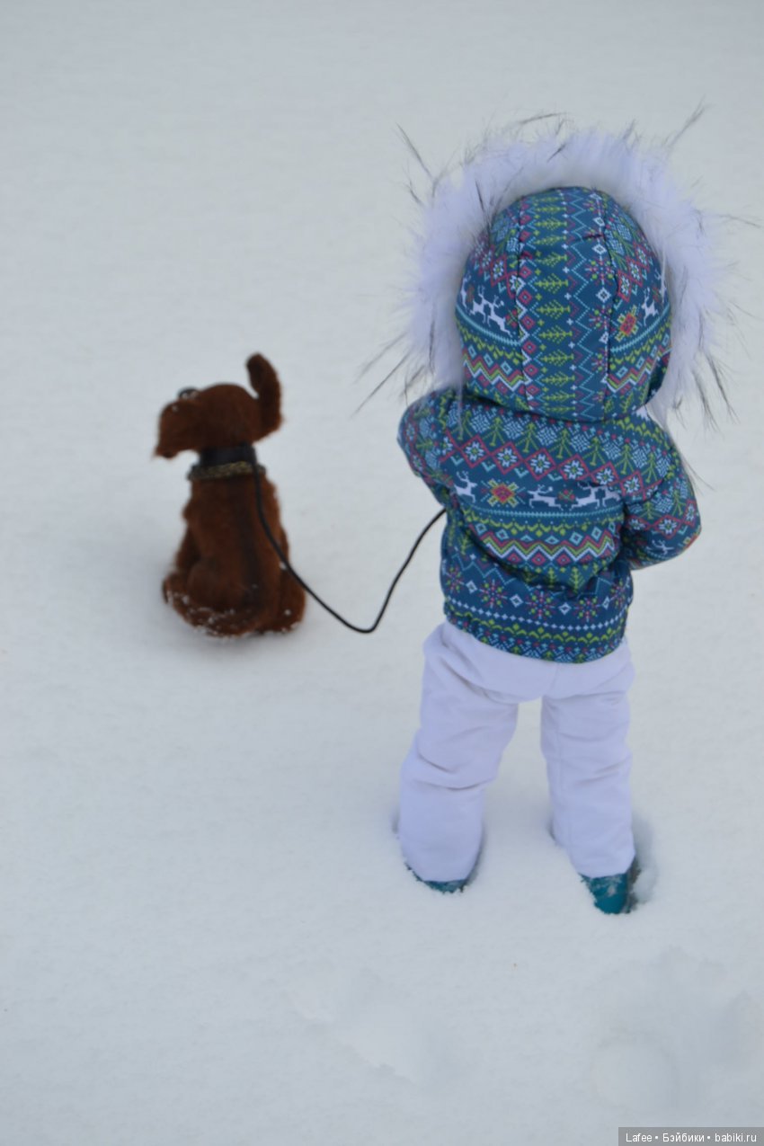 Мечте суждено сбыться или До свидания, год собачки