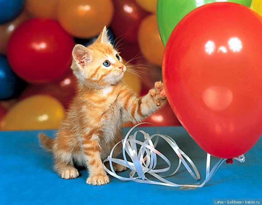 Чудеса случаются! или Как под Новый год нашлись мои посылки | Бэйбики Чудеса случаются! или Как под Новый год нашлись мои посылки (фото 5)