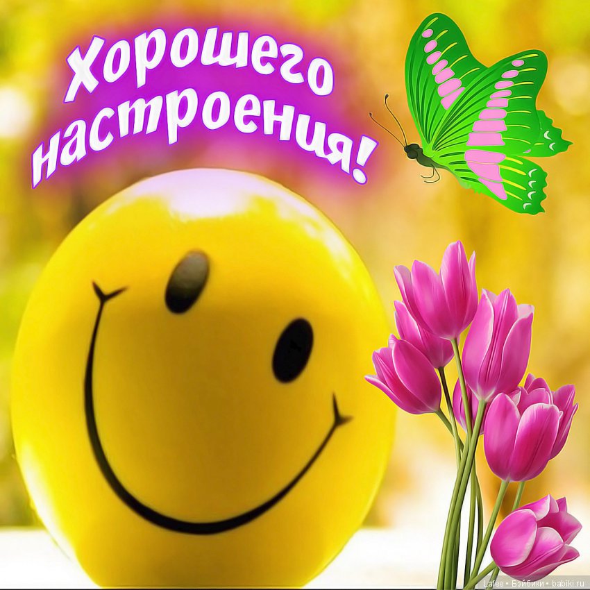 Мышонок, котёнок, зайчонок... словом, любимый ребёнок | Бэйбики Мышонок, котёнок, зайчонок... словом, любимый ребёнок