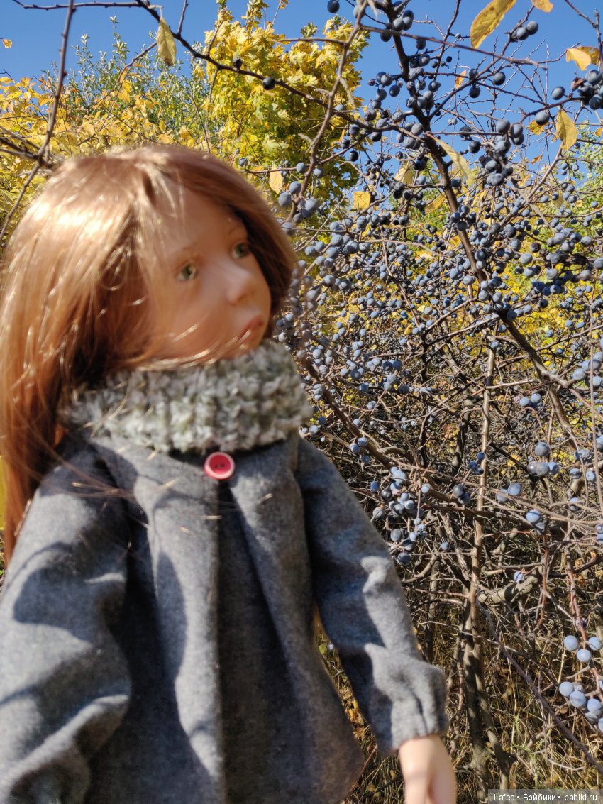 Осенняя песня Сольвейг | Бэйбики Осенняя песня Сольвейг — Куклы Zwergnase (Цвергназе/Цверги): фото (фото 9)