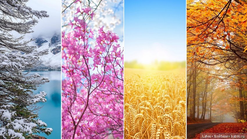 Топик знакомство... или у меня поселилось Лето! ( Июль, Zwergnase)