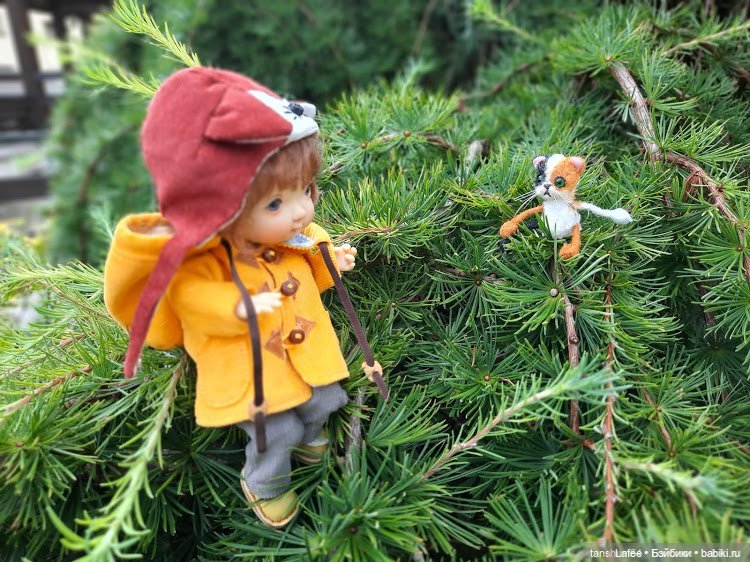 Непрошенный гость или приключения Нийки и жёлтого кота (Продолжение сентябрьских заметок)