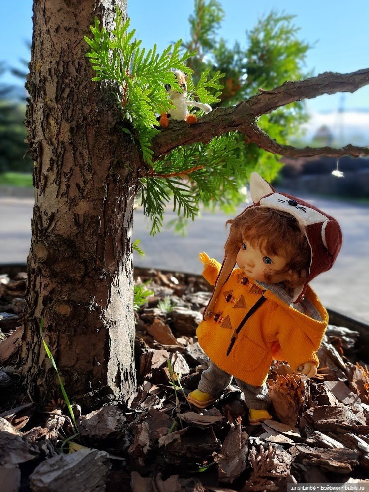 Непрошенный гость или приключения Нийки и жёлтого кота (Продолжение сентябрьских заметок)