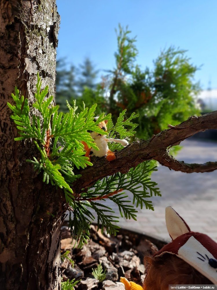 Непрошенный гость или приключения Нийки и жёлтого кота (Продолжение сентябрьских заметок)