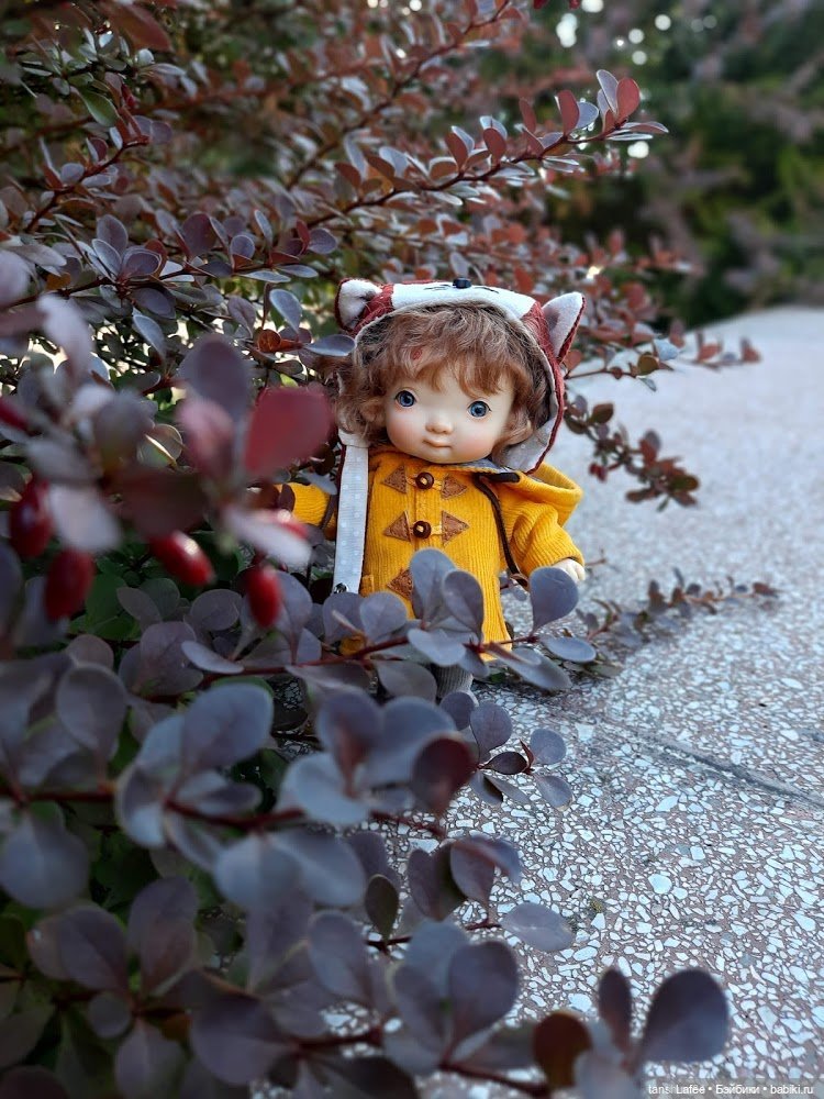 Непрошенный гость или приключения Нийки и жёлтого кота (Продолжение сентябрьских заметок)