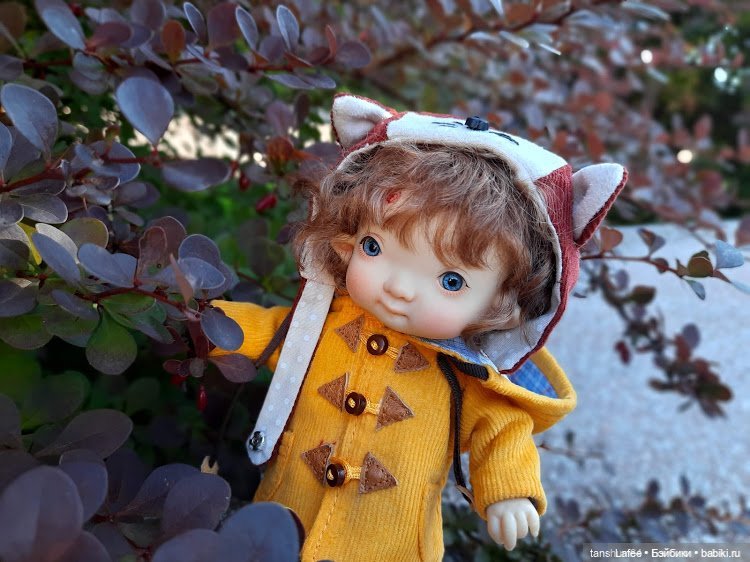 Непрошенный гость или приключения Нийки и жёлтого кота (Продолжение сентябрьских заметок)