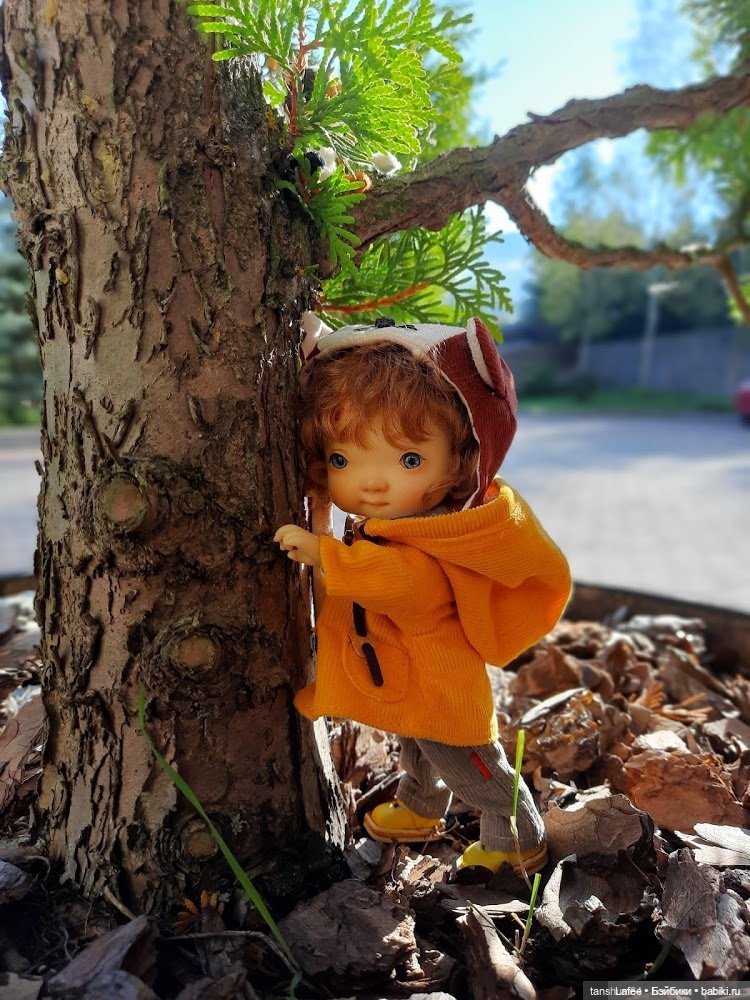 Непрошенный гость или приключения Нийки и жёлтого кота (Продолжение сентябрьских заметок)