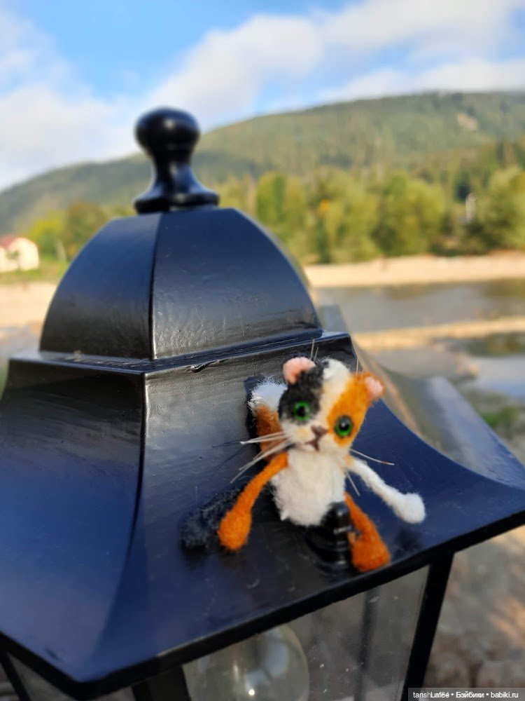 Непрошенный гость или приключения Нийки и жёлтого кота (Продолжение сентябрьских заметок)