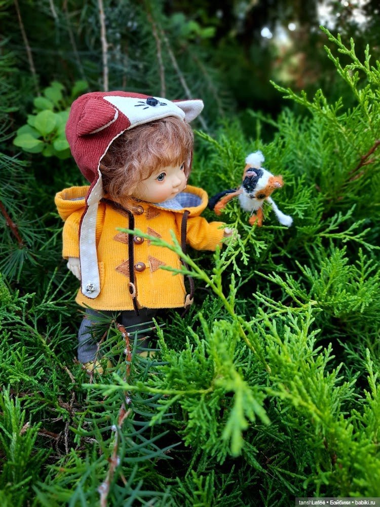 Непрошенный гость или приключения Нийки и жёлтого кота (Продолжение сентябрьских заметок)