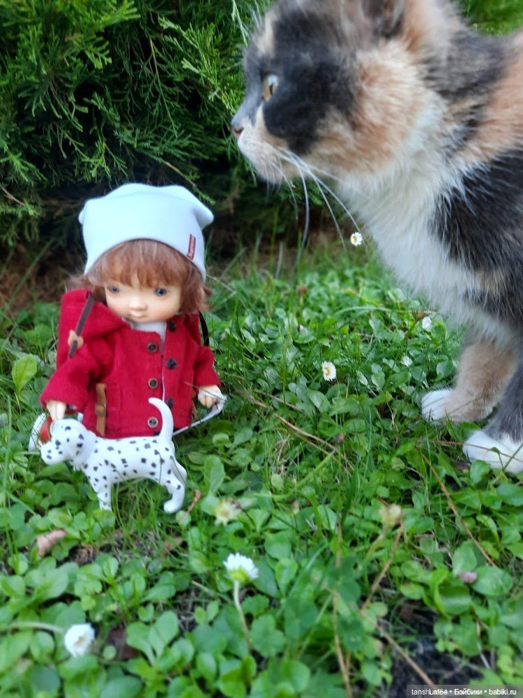 Самые сладкие самые любимые с нами (моя Ния) (фото 9)