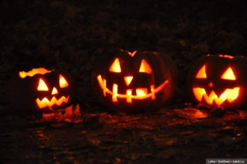 По следам Хэллоуина или собаки тоже хотят праздника