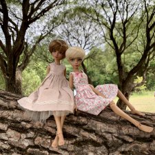 Летний день в парке, Studio Milim